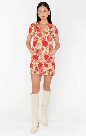 Dexter Sweater Dress